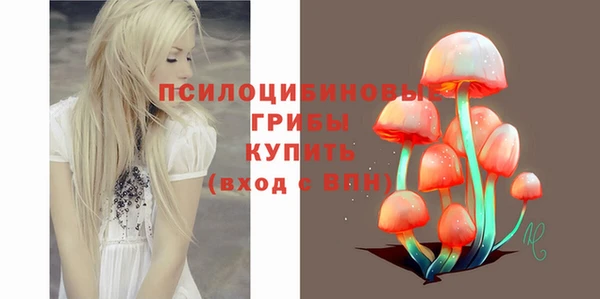 винт Алзамай