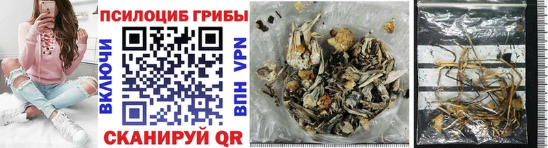 Галлюциногенные грибы Magic Shrooms  хочу наркоту  это состав  Большой Камень 